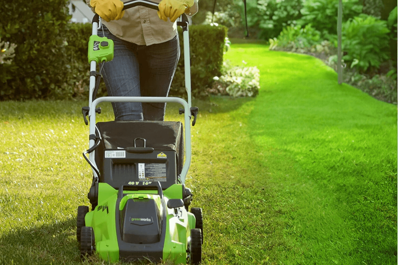 Greenworks cordless electric review 1