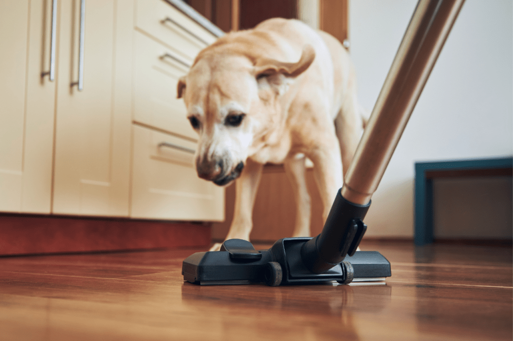 Animal cordless vacuum cleaner