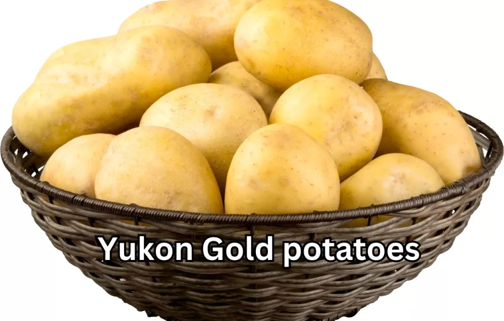 Yukon-Gold-Potatoes