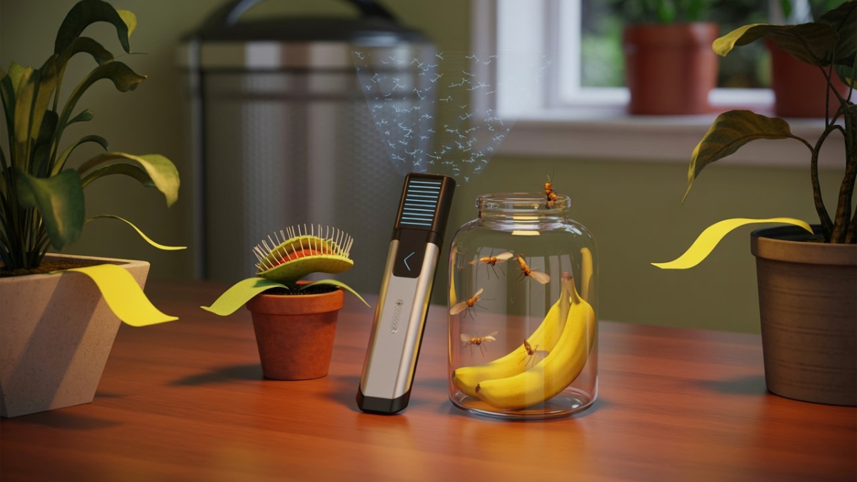 Buzz Off! Your Ultimate Guide to Choosing the Perfect Flying Insect Trap 21 flying insect trap combo